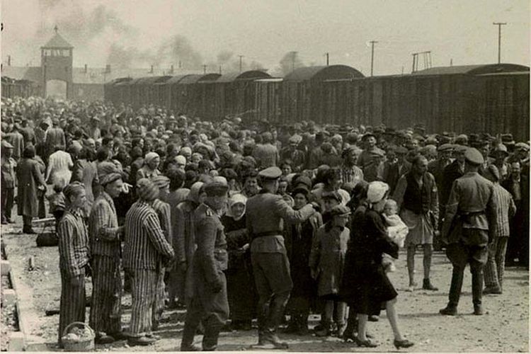Sejarah Holocaust Jerman Jepang Membangkitkan Keingin Tahuan